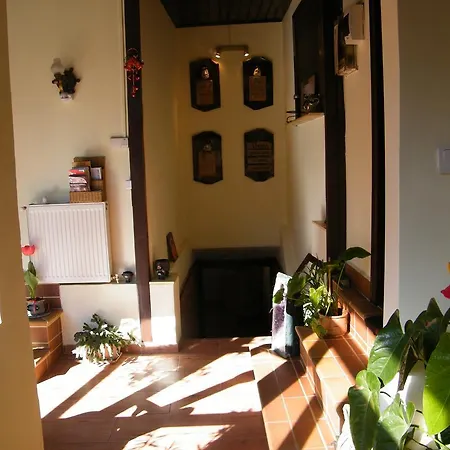 Casa Brasovechi * בראשוב